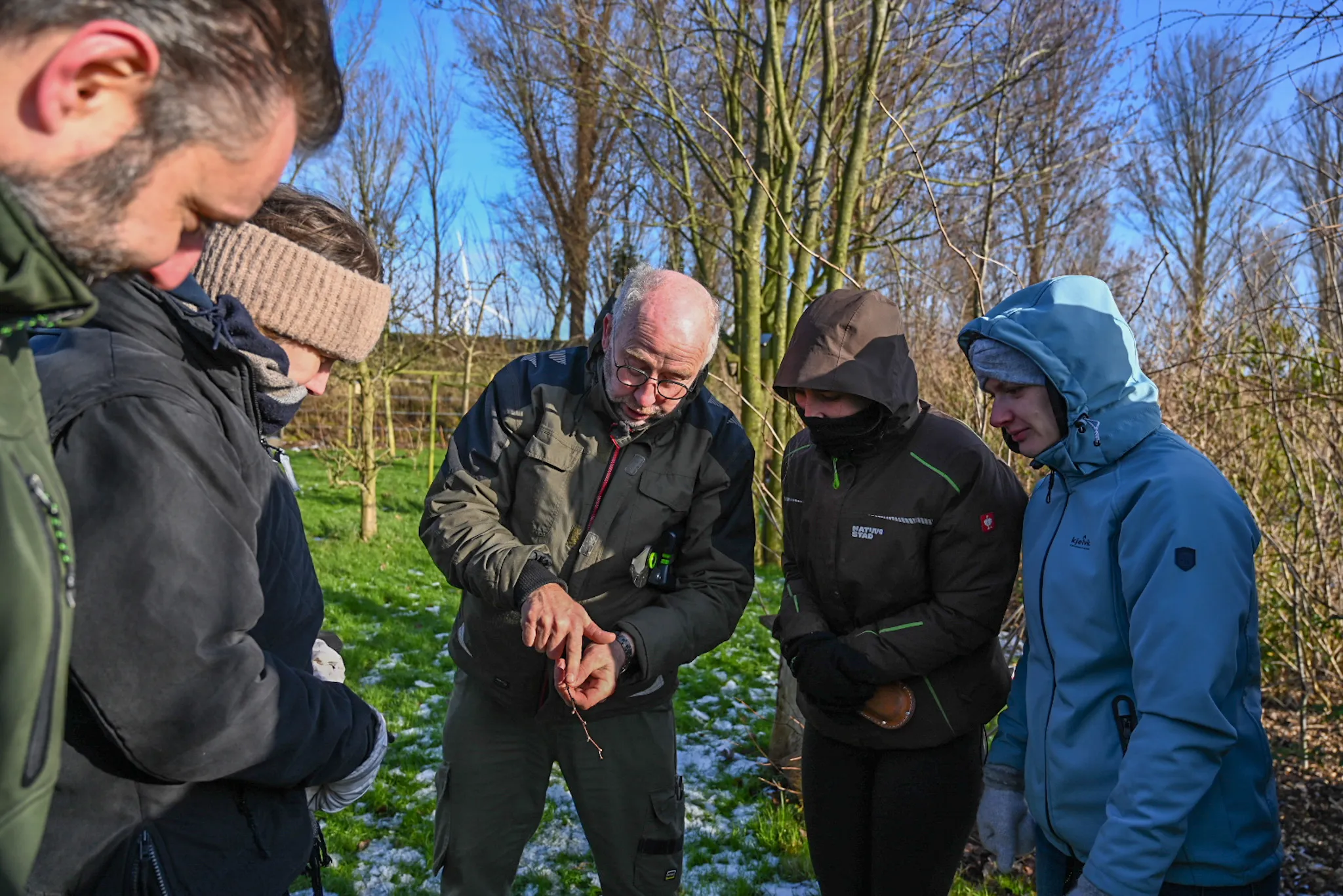 Uitleg snoeien
