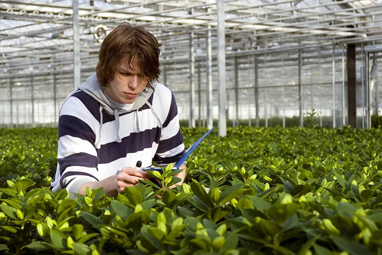 Onderzoek plantgezondheid