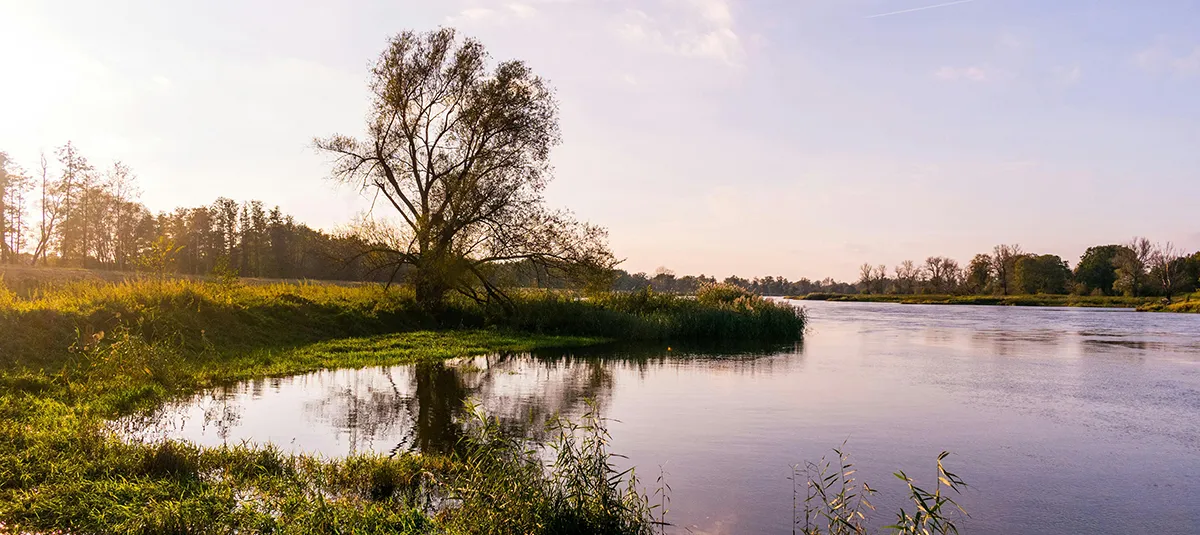 Landschap
