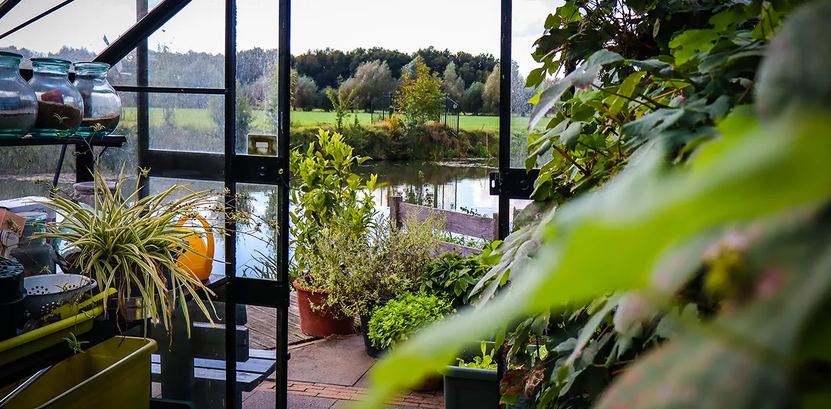 Tuin gezien vanuit een kas